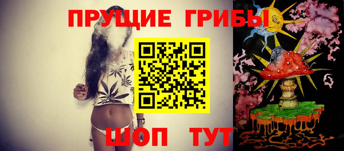 Отрадный  Псилоцибиновые грибы мухоморы  Вход с VPN 