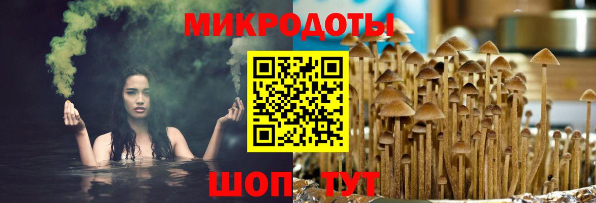 Псилоцибиновые грибы прущие грибы Отрадный