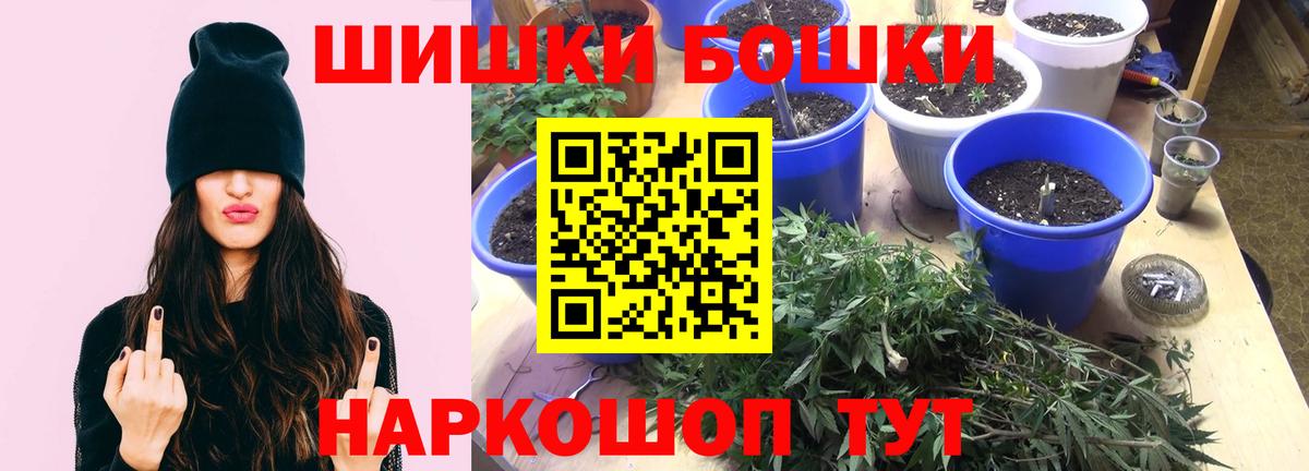Конопля SATIVA & INDICA Отрадный
